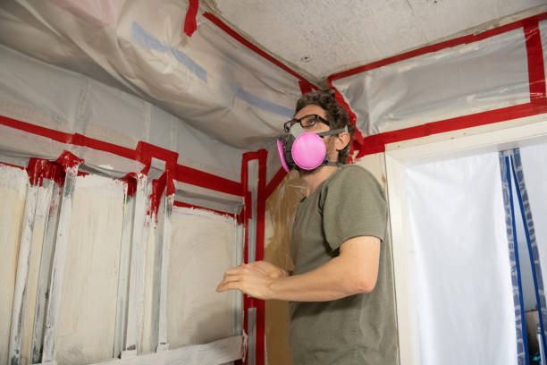 Best Industrial Mold Remediation  in Great Falls, SC