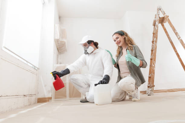 Best Mold Documentation for Insurance Claims  in Great Falls, SC