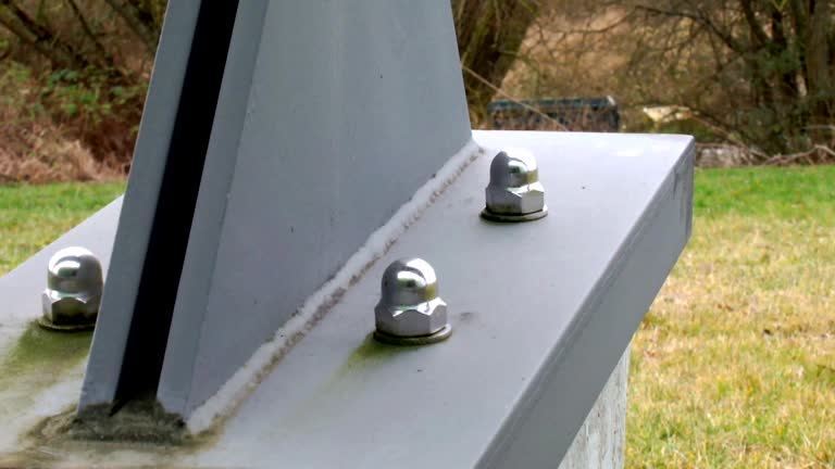 Best Forensic Mold Investigation  in Great Falls, SC